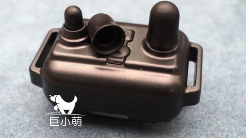訓(xùn)犬止吠器評測 美女電擊親測，有用但請盡可能不用